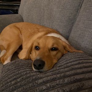 Meet your Posher, Chloe